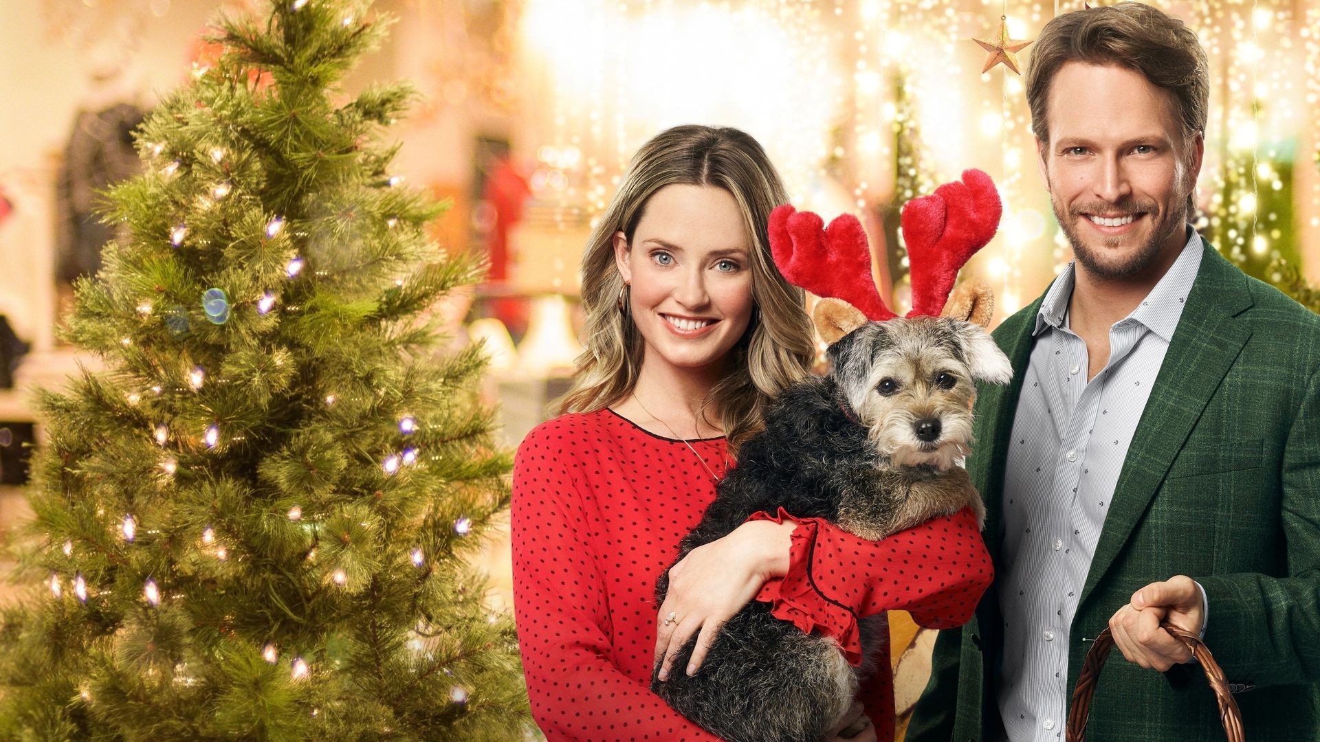 Picture a Perfect Christmas background