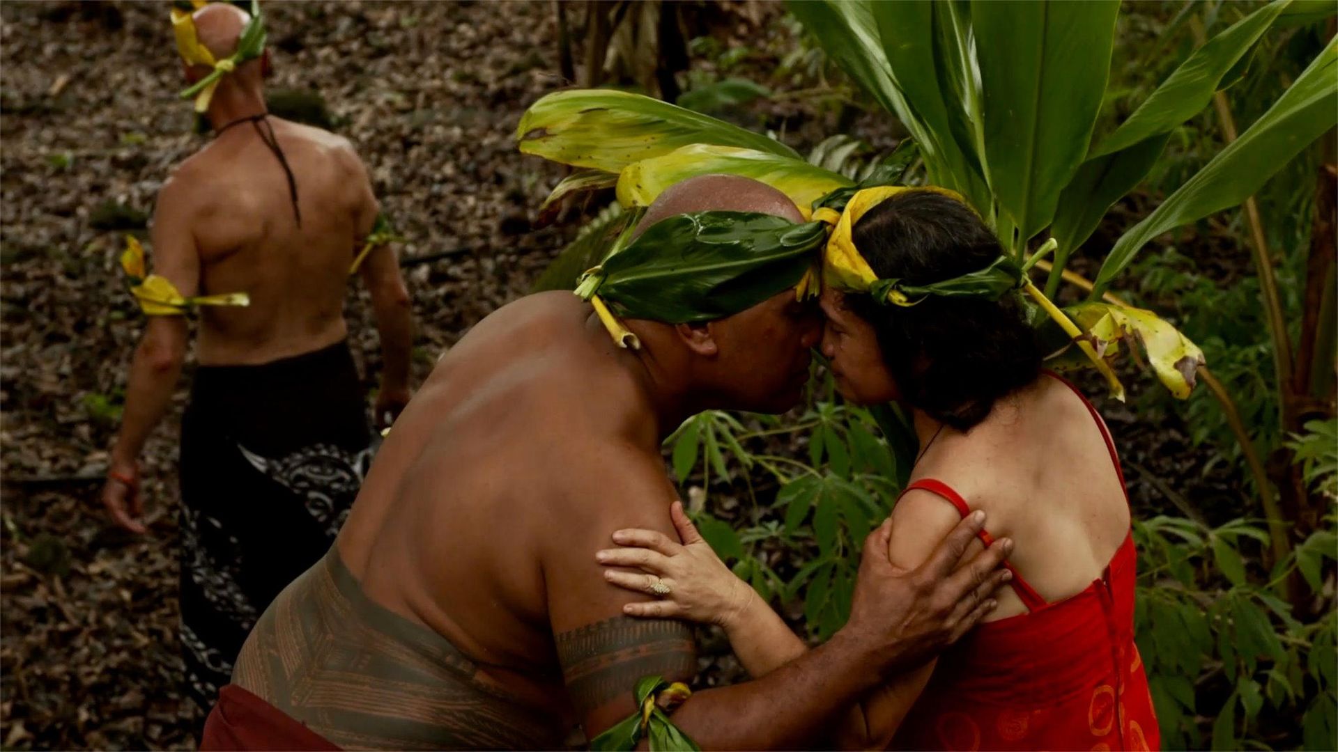 Tupaia's Endeavour background