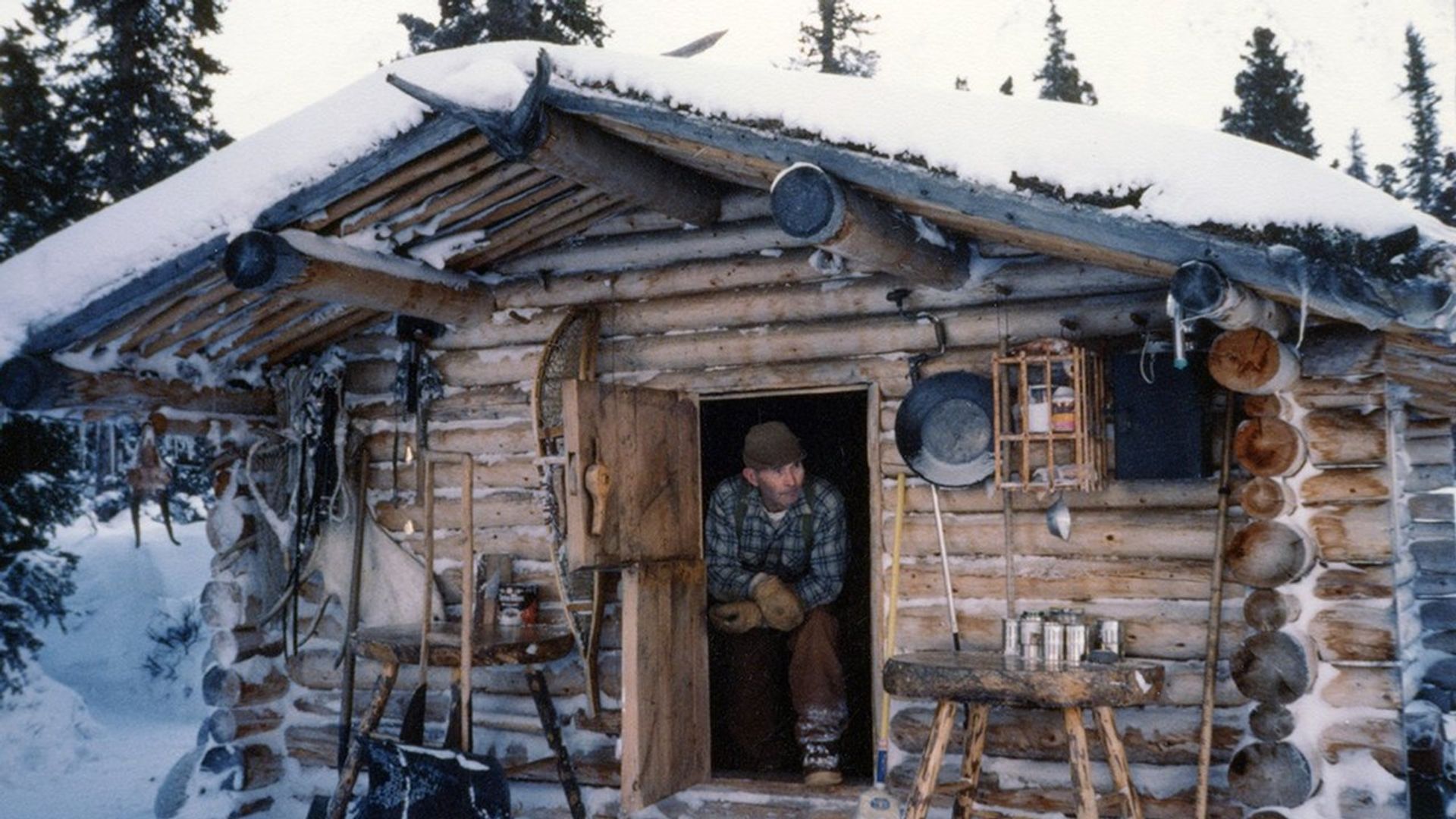 The Frozen North background