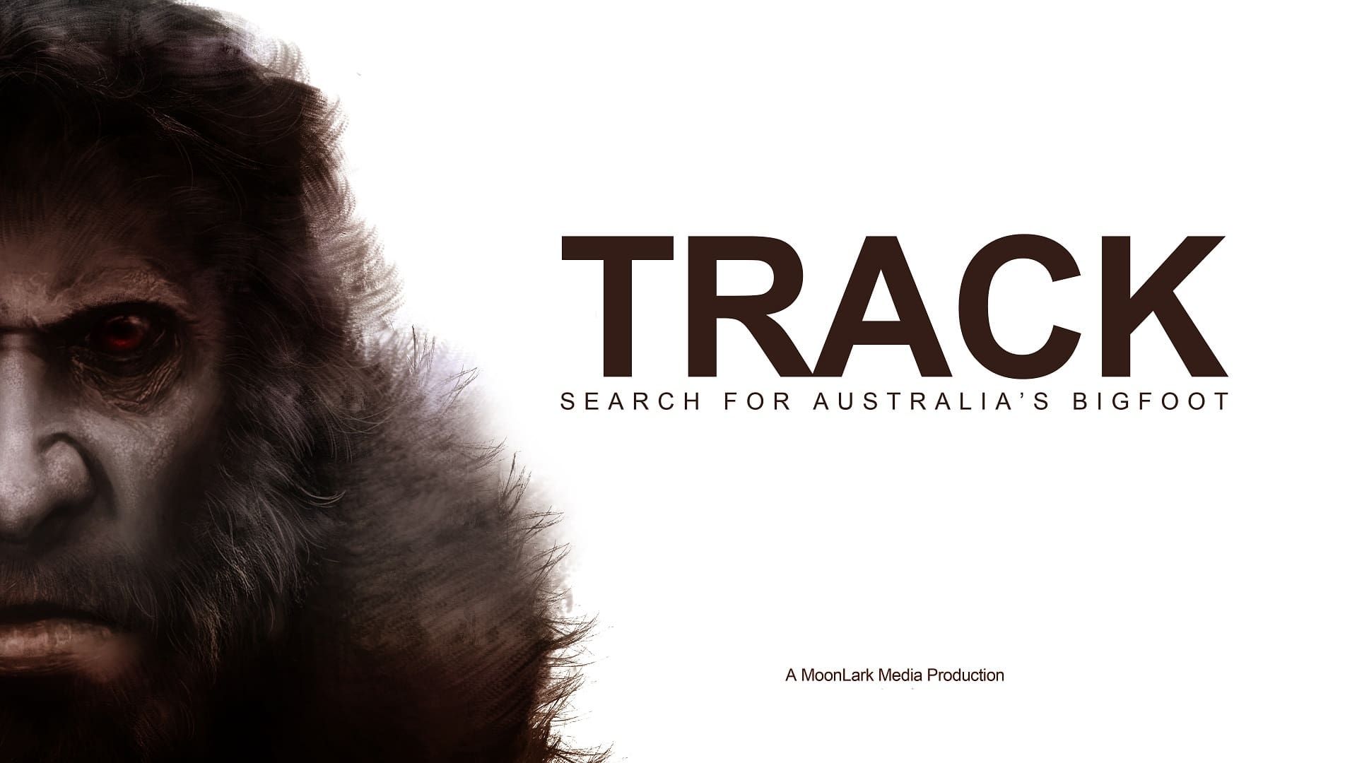 Track: Search for Australia's Bigfoot background