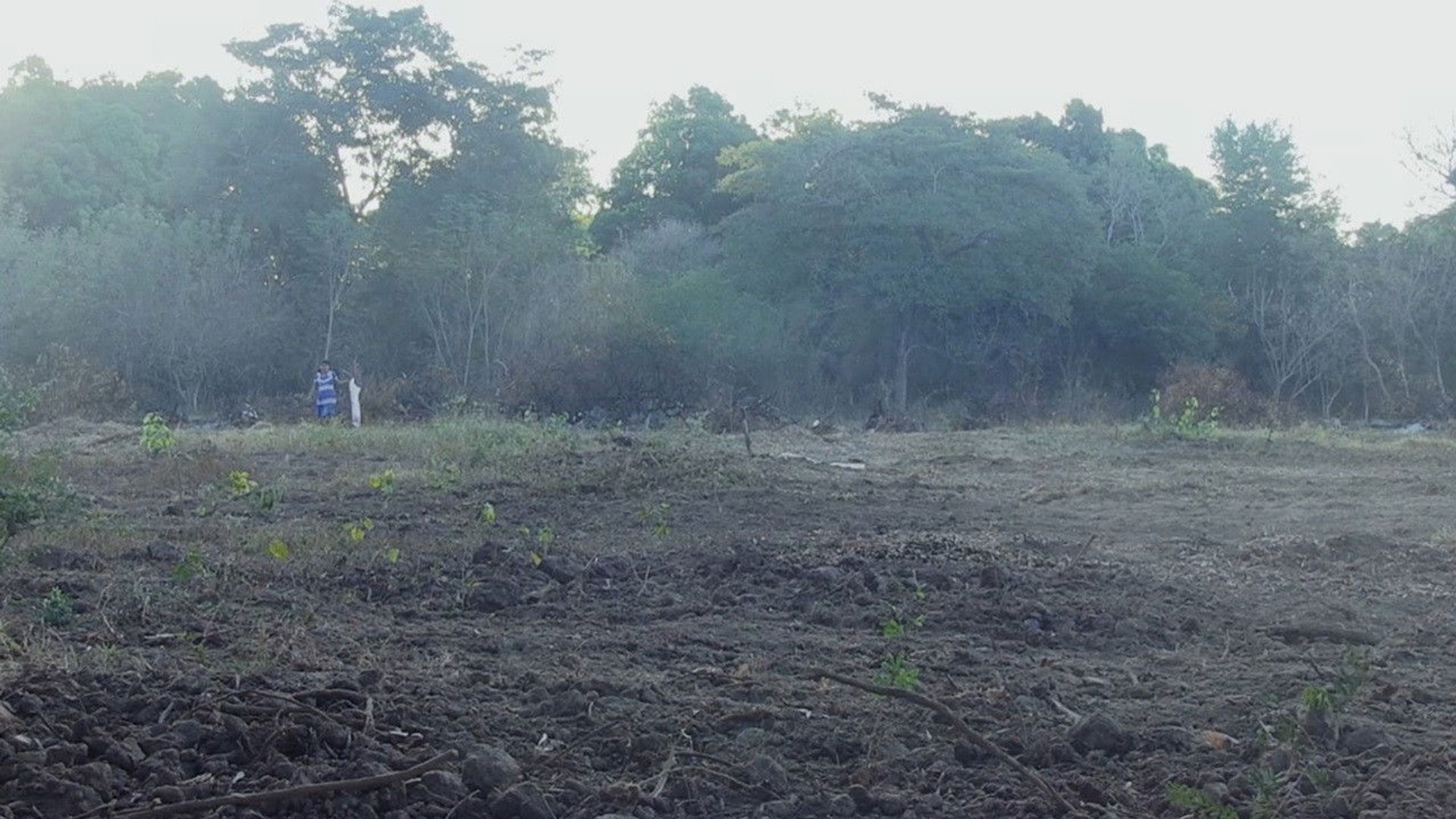 We Are Always Walking background