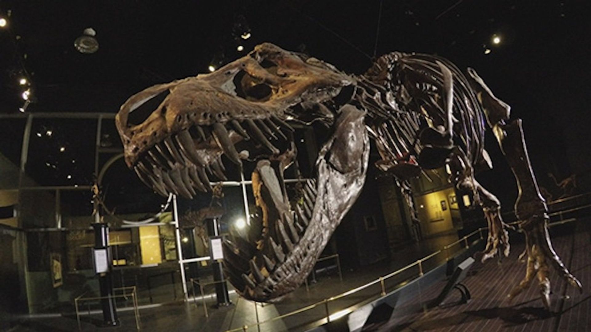 Dinosaur Extinction: Behind the Asteroid Impact Theory background