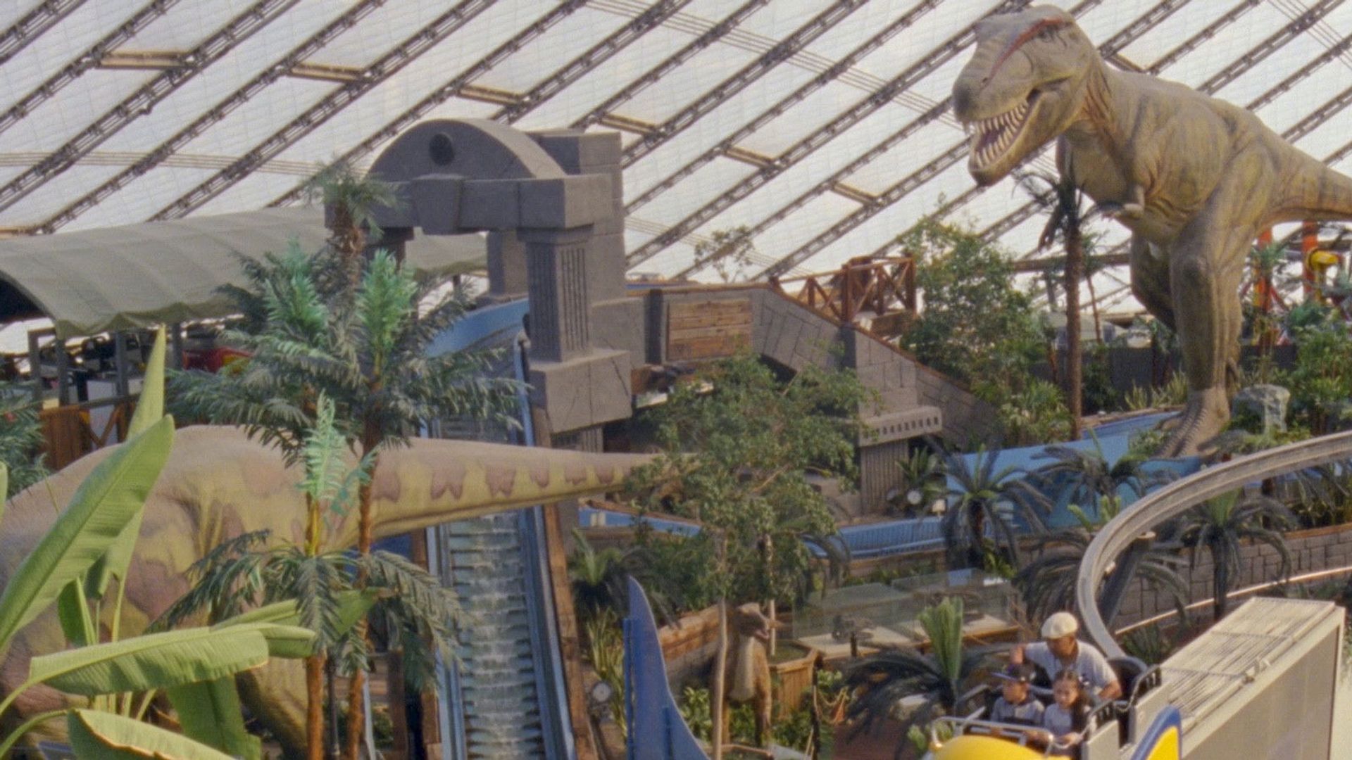 On a Clear Day You Can See the Revolution from Here background