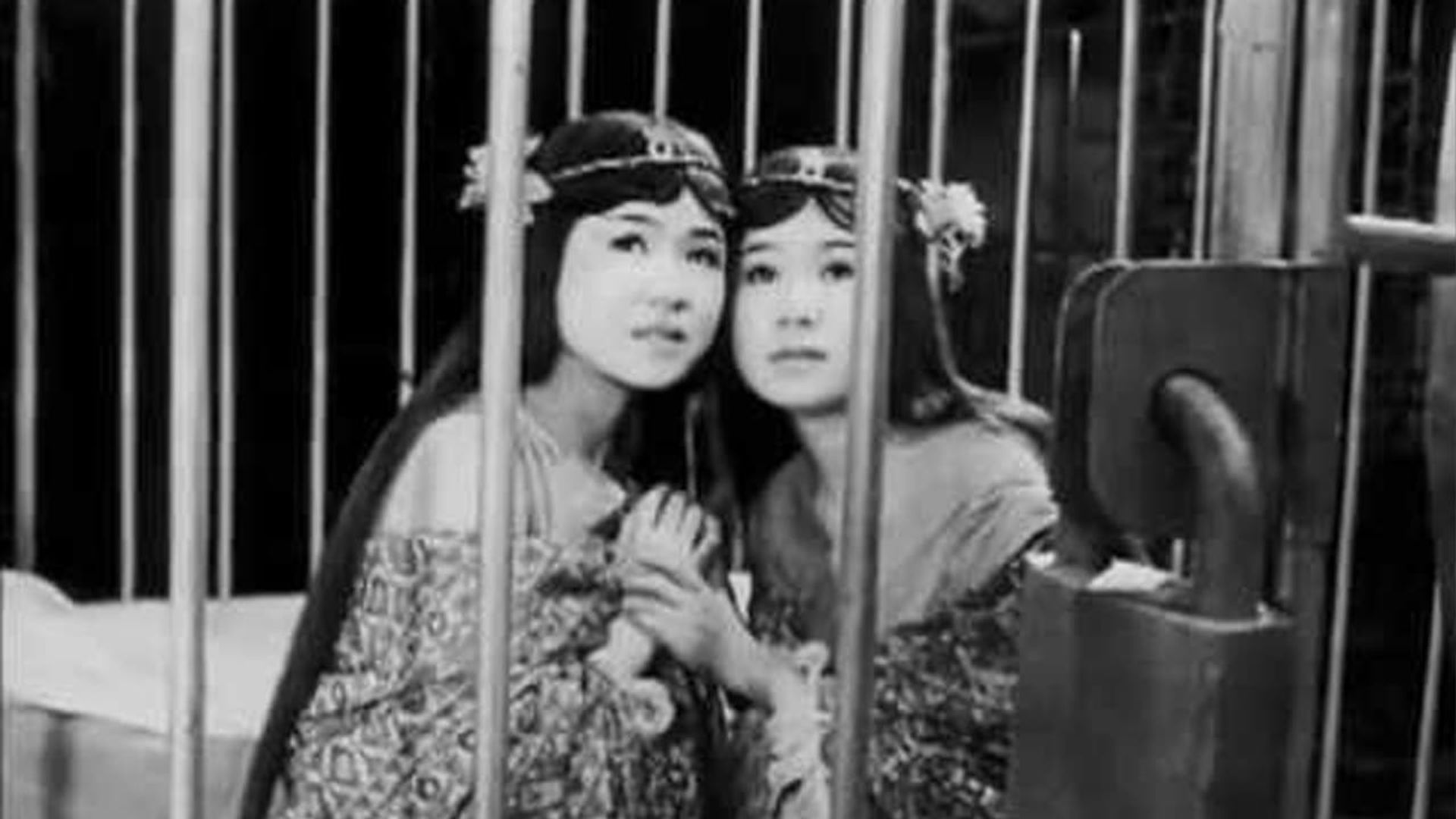 The Women of Godzilla background
