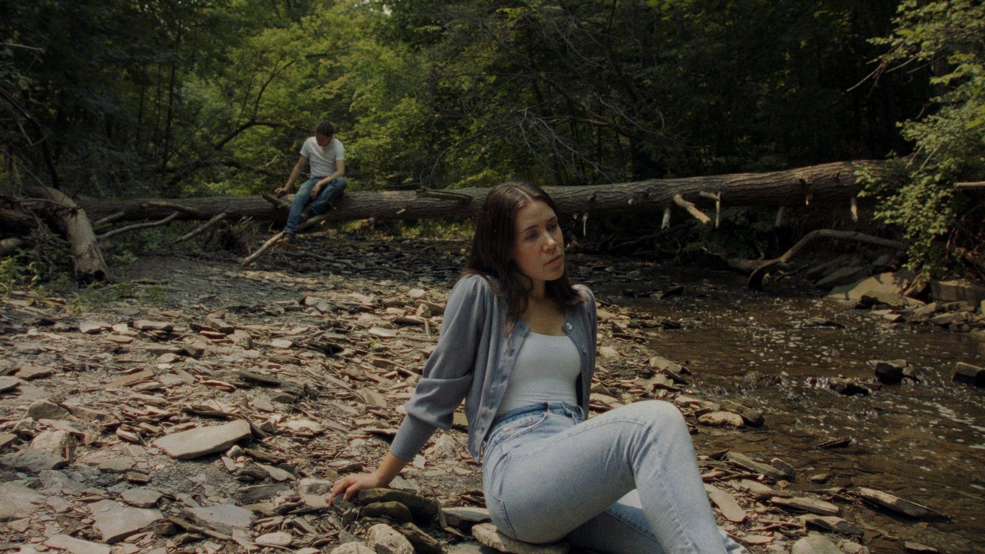 Daylight Again background