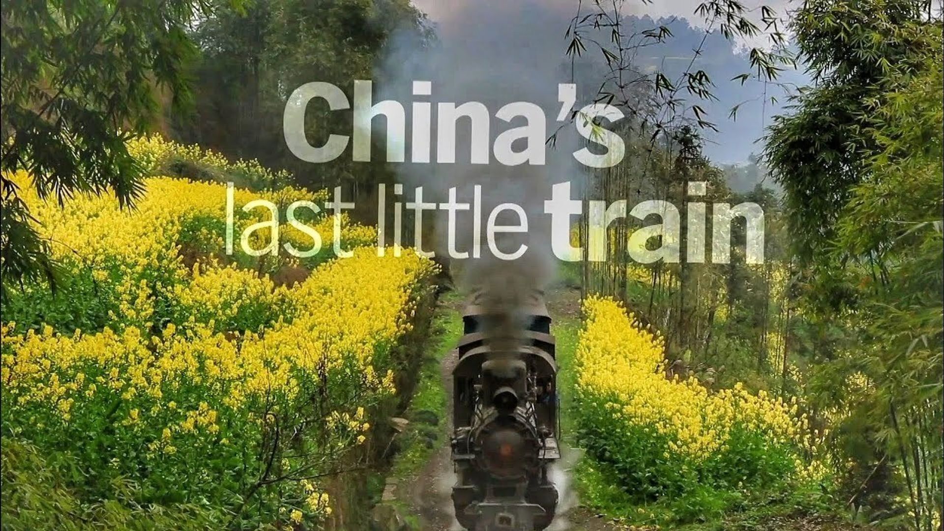 The Last Little Train in China background
