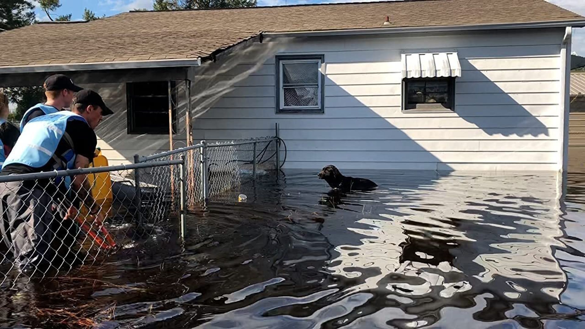 Breaking the Chain background