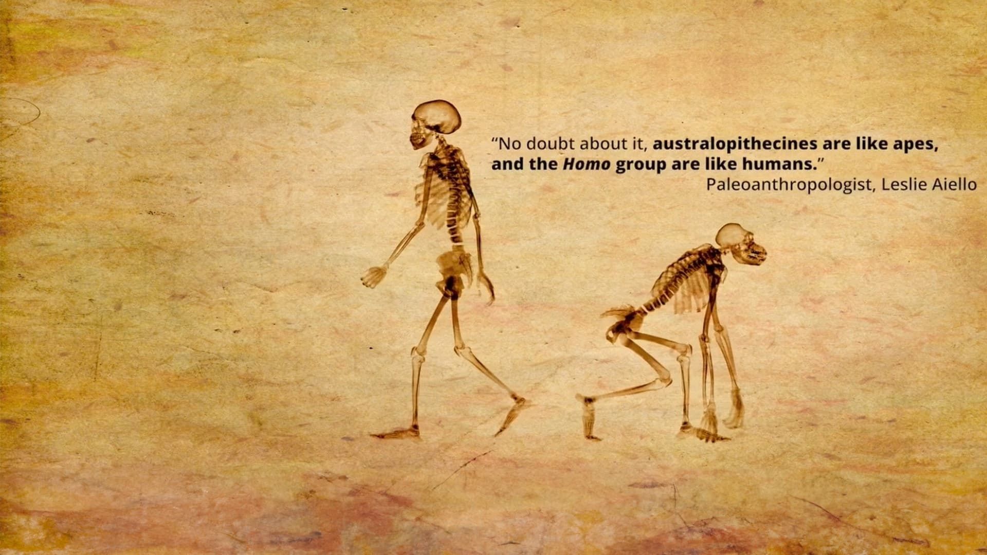 Dismantled: A Scientific Deconstruction of The Theory of Evolution background