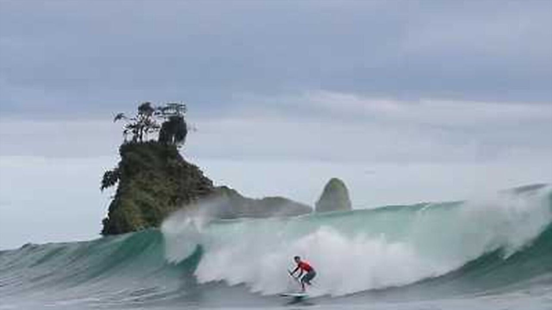 The Green Wave background