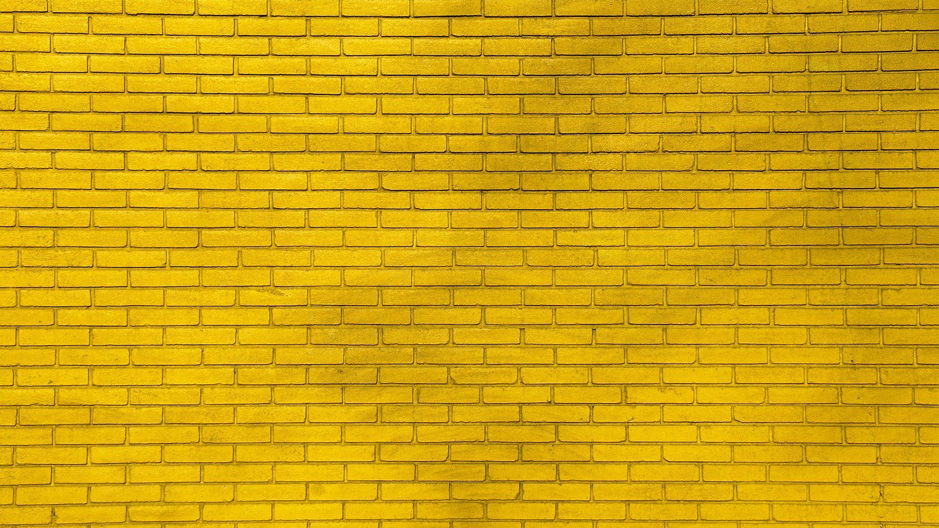 Walls for Women background