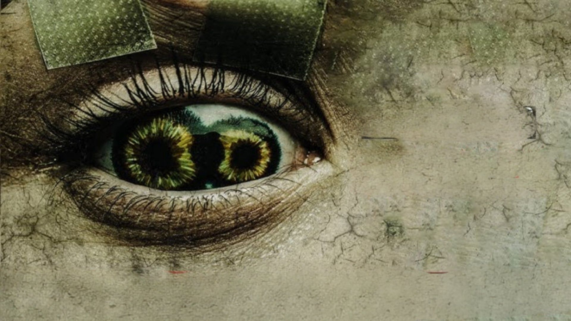 Never Blink background