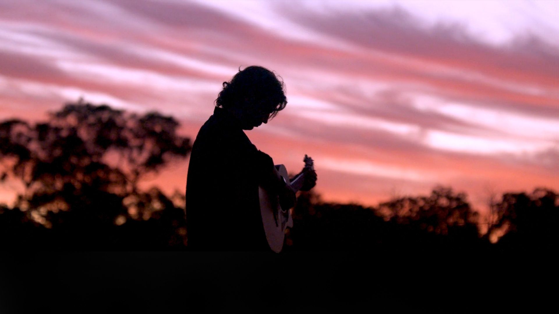 Collect Your Roadkill background