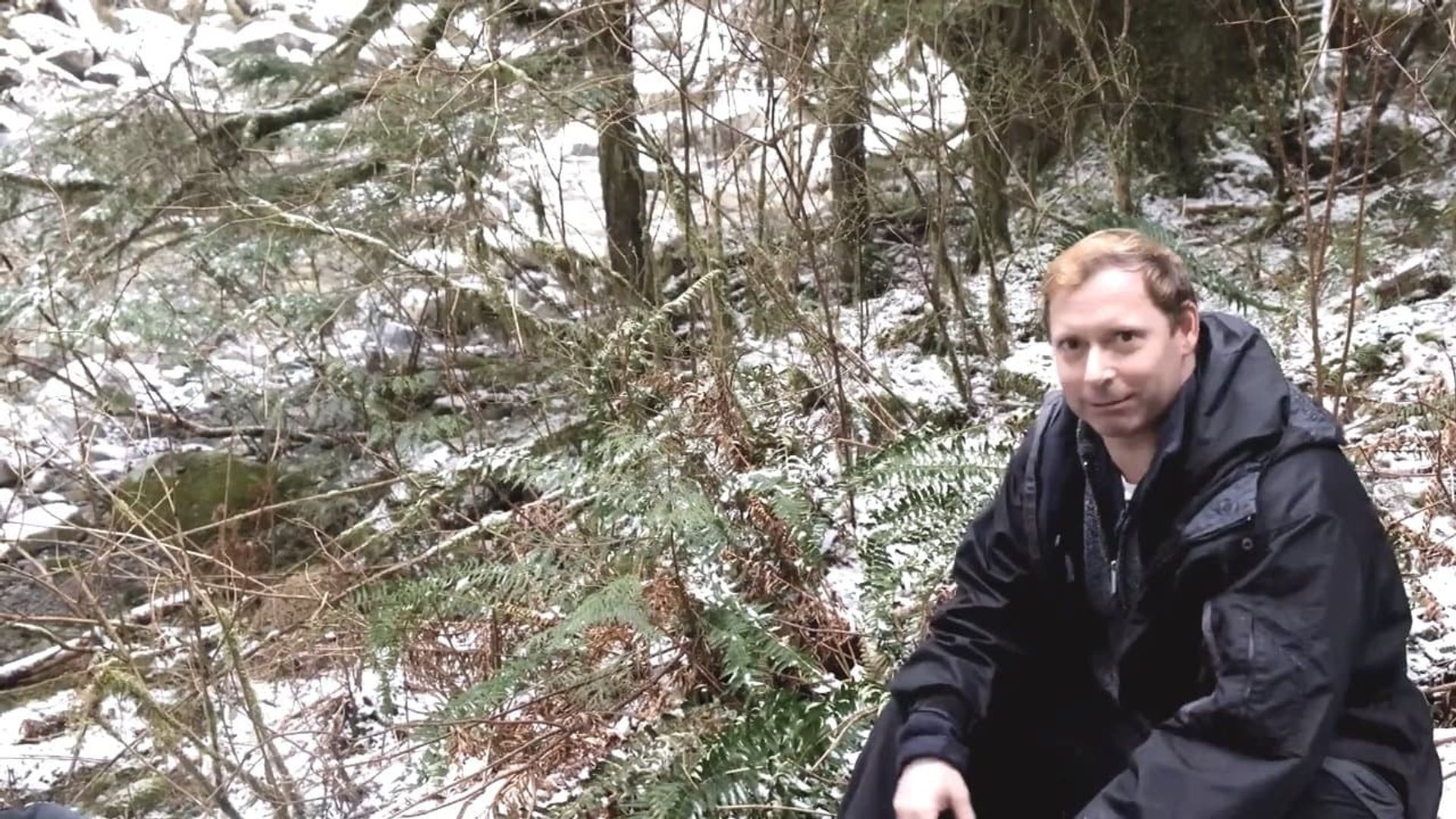 Searching for Sasquatch Chapter II: The Watchers background