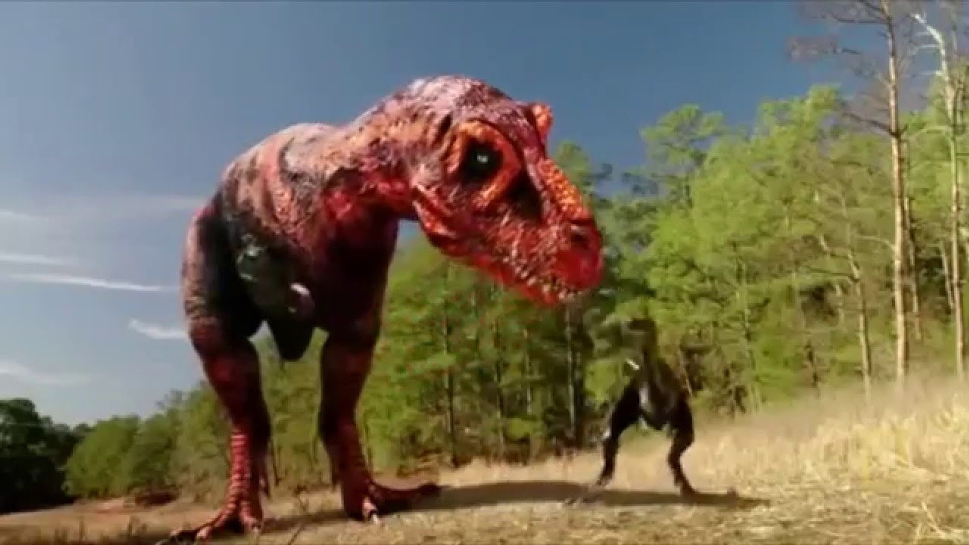 Dinosaurs Decoded background