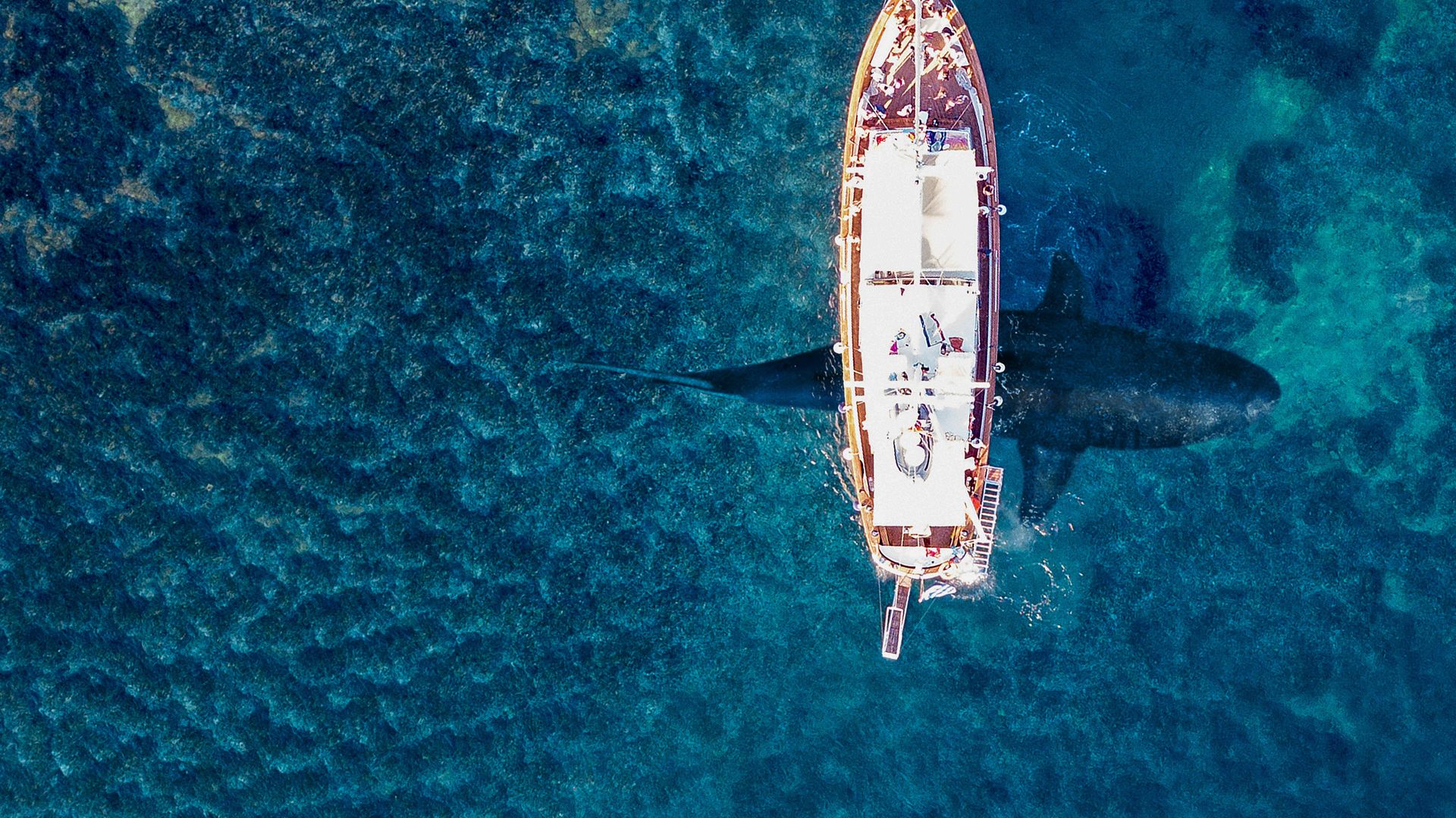 The Spawn of El Diablo background