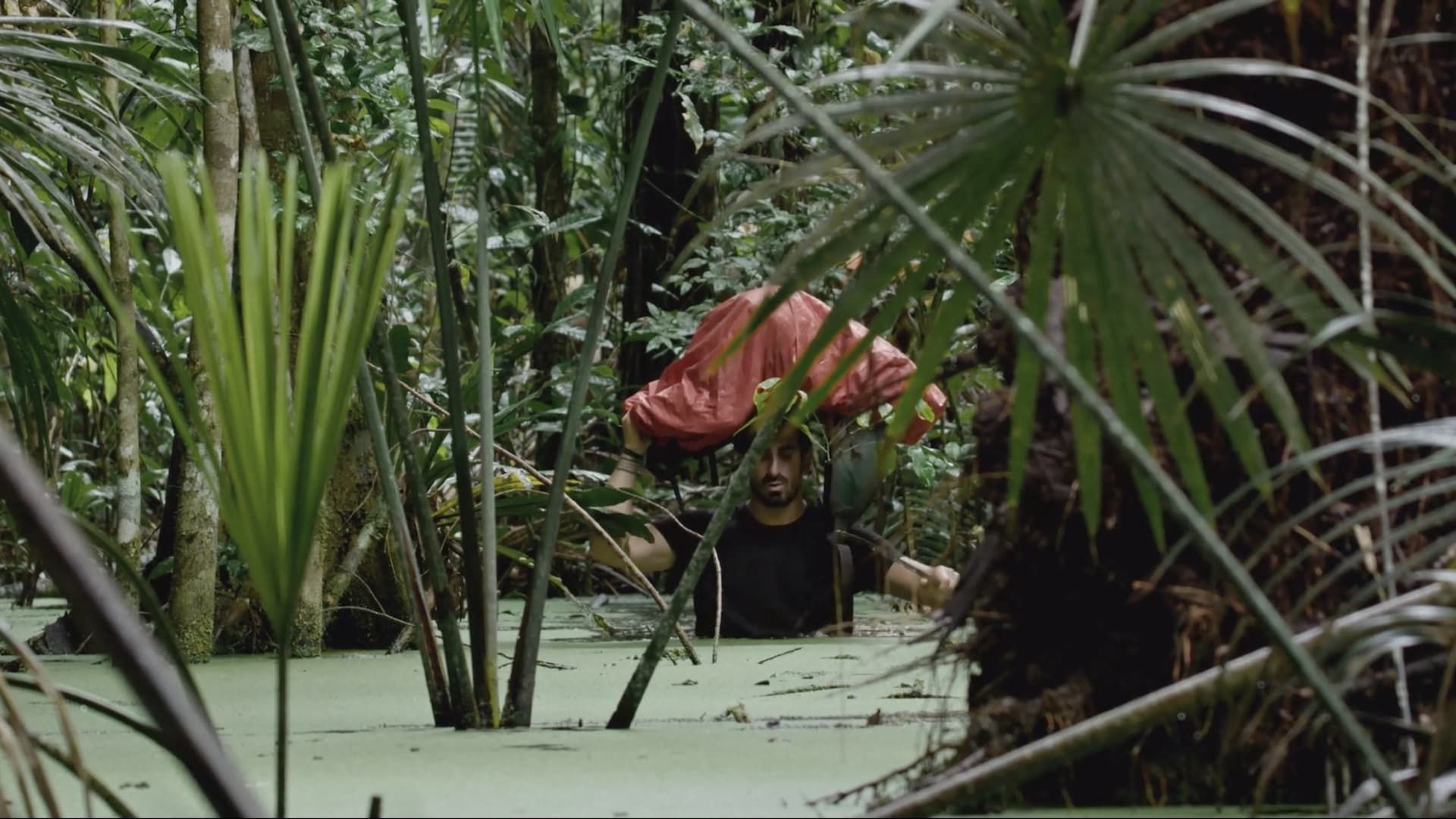 Dark Green background