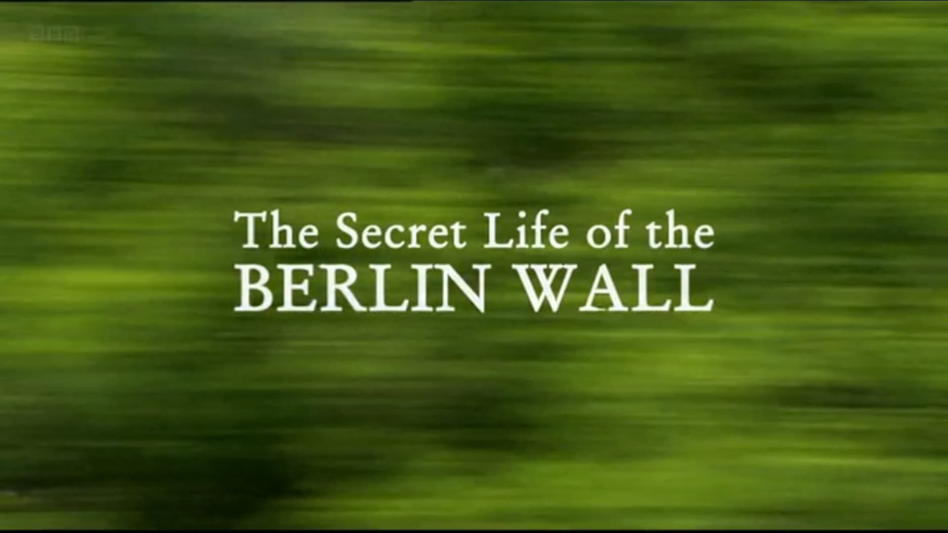 The Secret Life of the Berlin Wall background