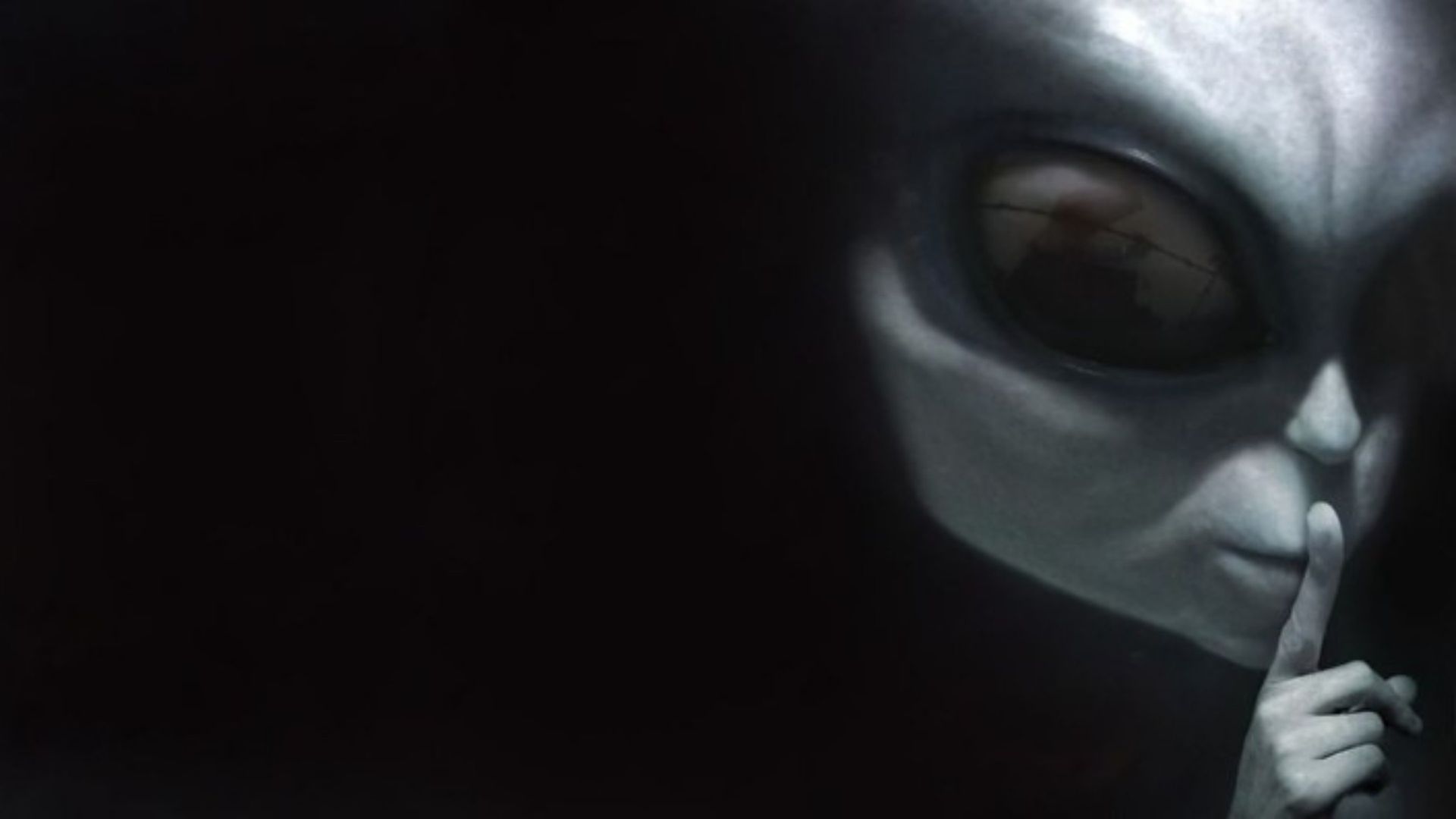Montauk Chronicles background