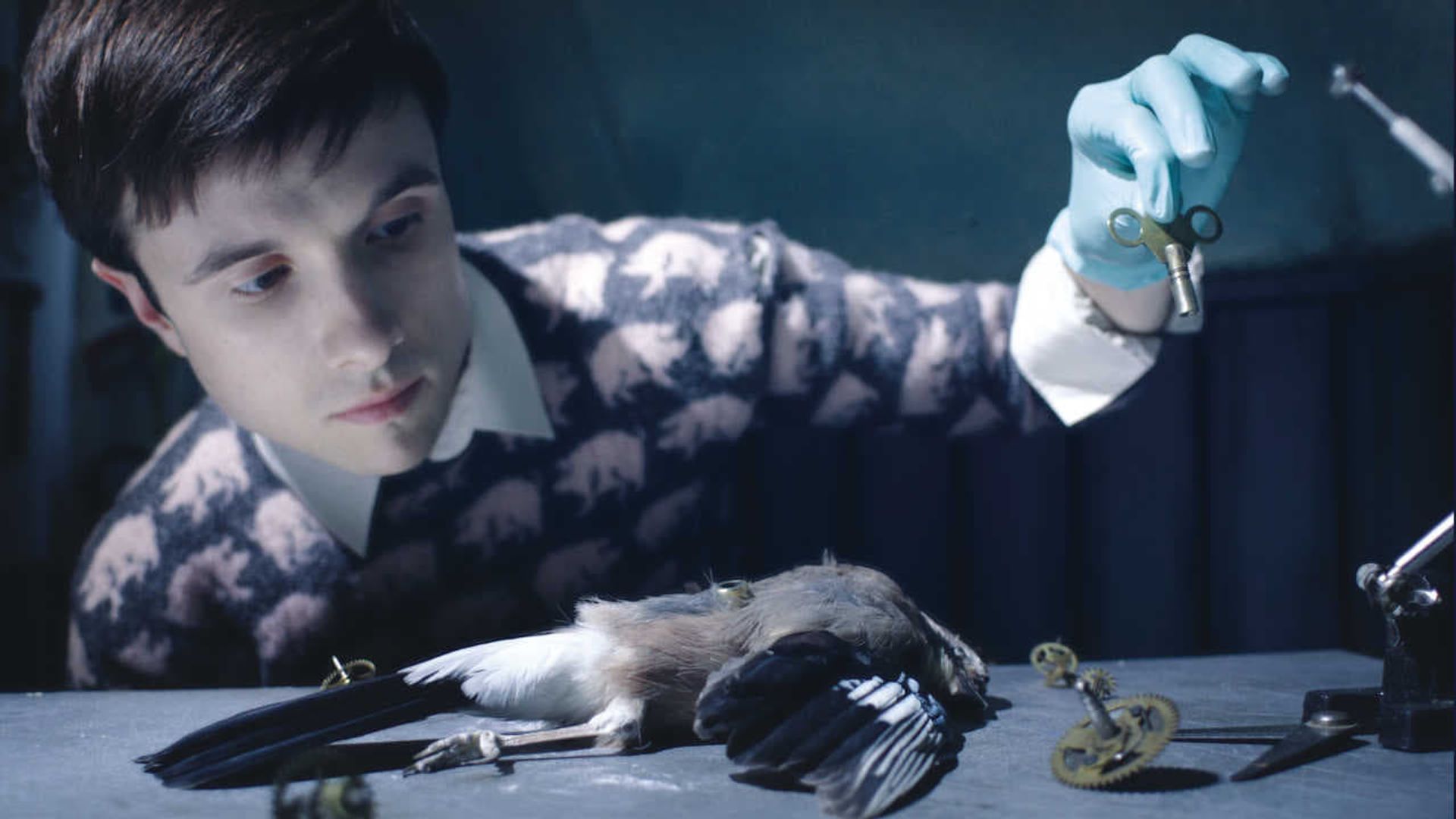 Stanley Pickle background