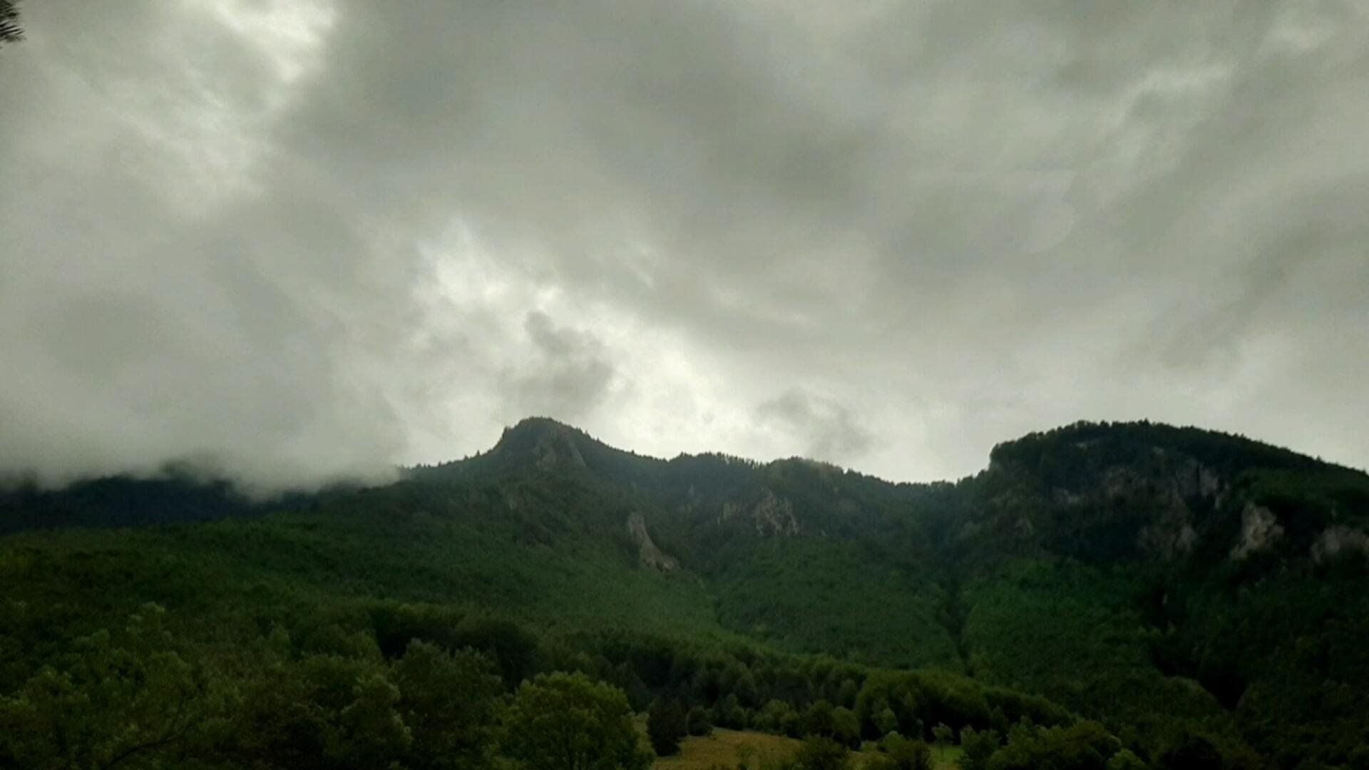 Tourist;Drifter background