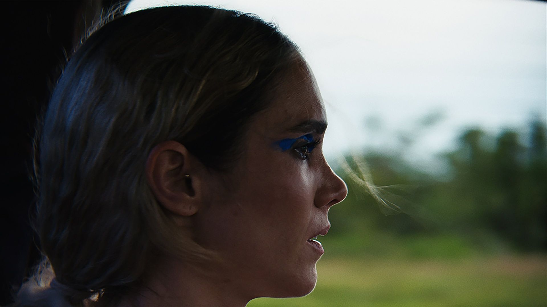 Charliebird background