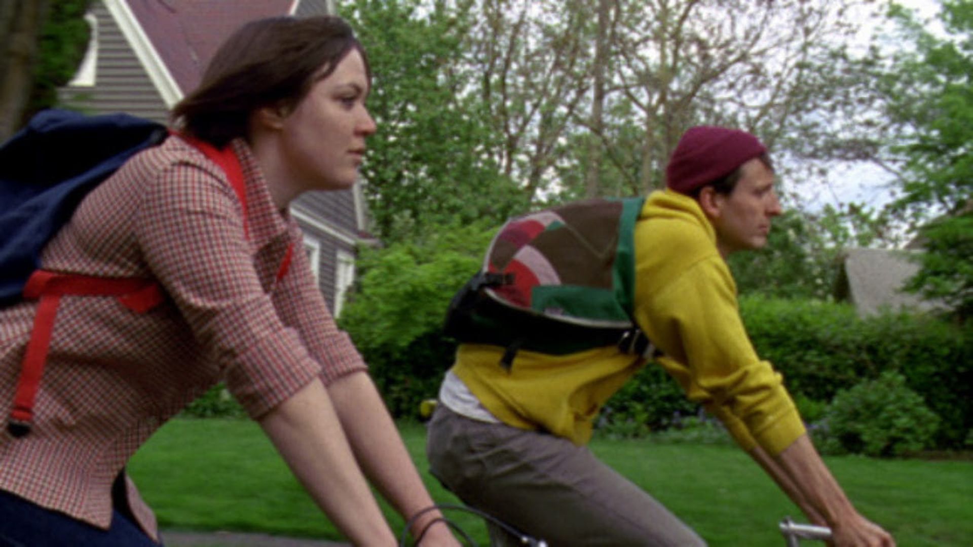 Field Guide to November Days background