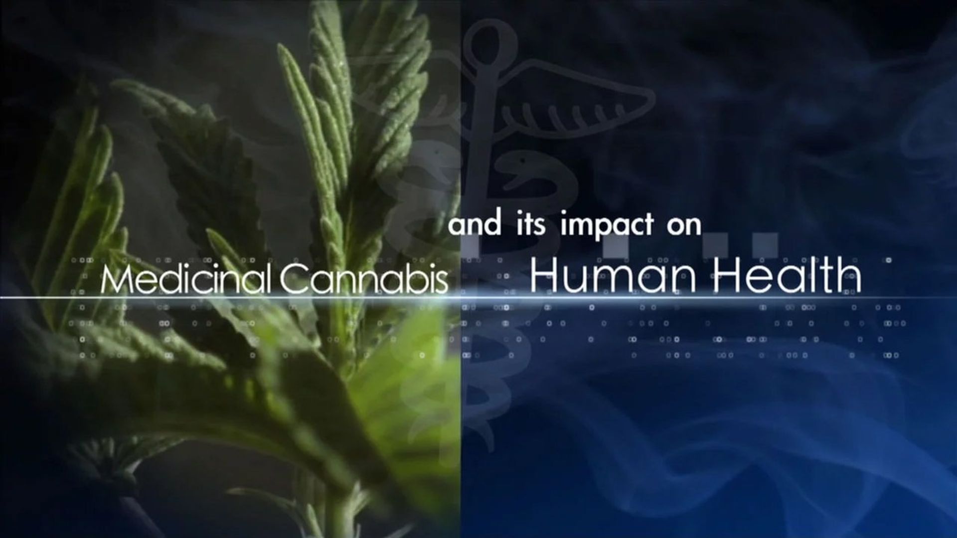 Medicinal Cannabis and its Impact on Human Health background