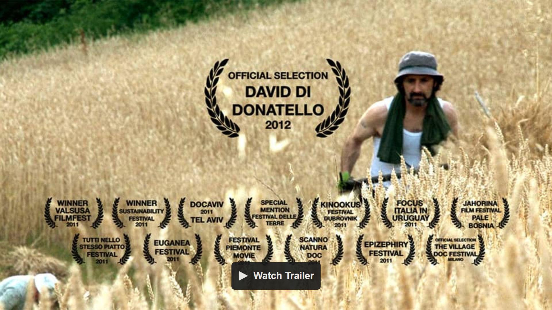 Langhe Doc. Stories of Heretics in the Italy of Warehouses background