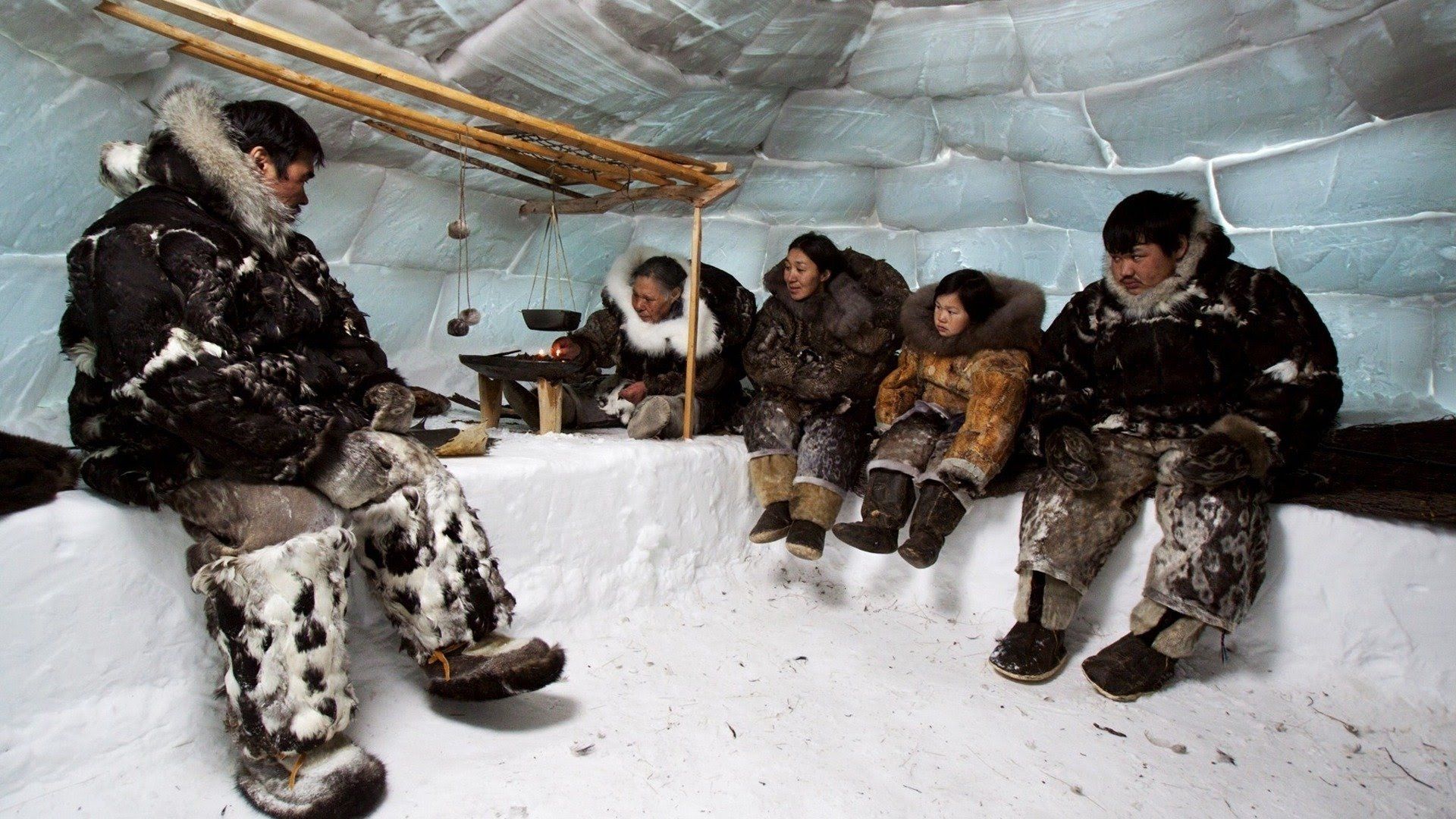 People of a Feather background