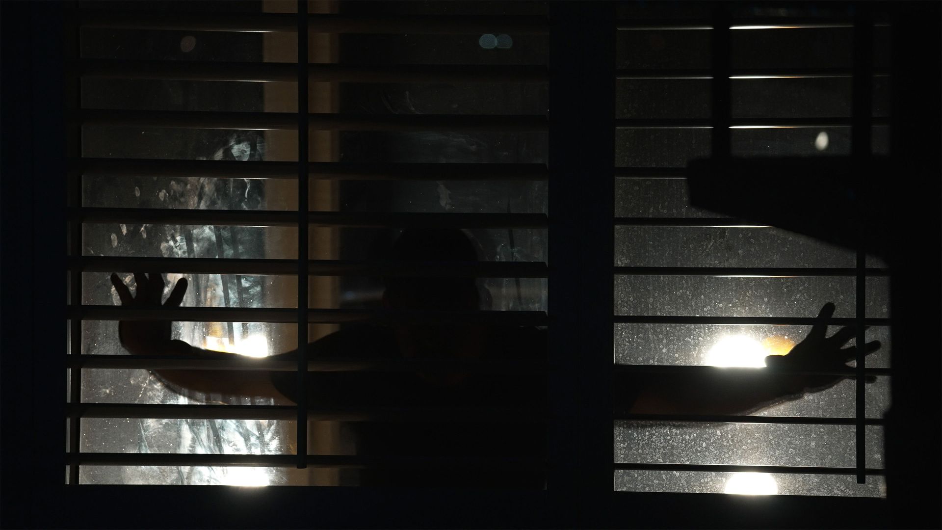 Spread: Pigs to Slaughter background