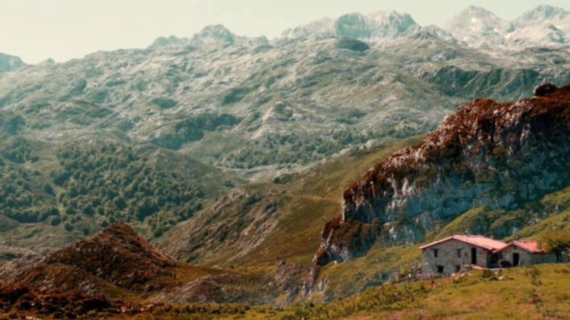 Salvajes, el cuento del lobo background
