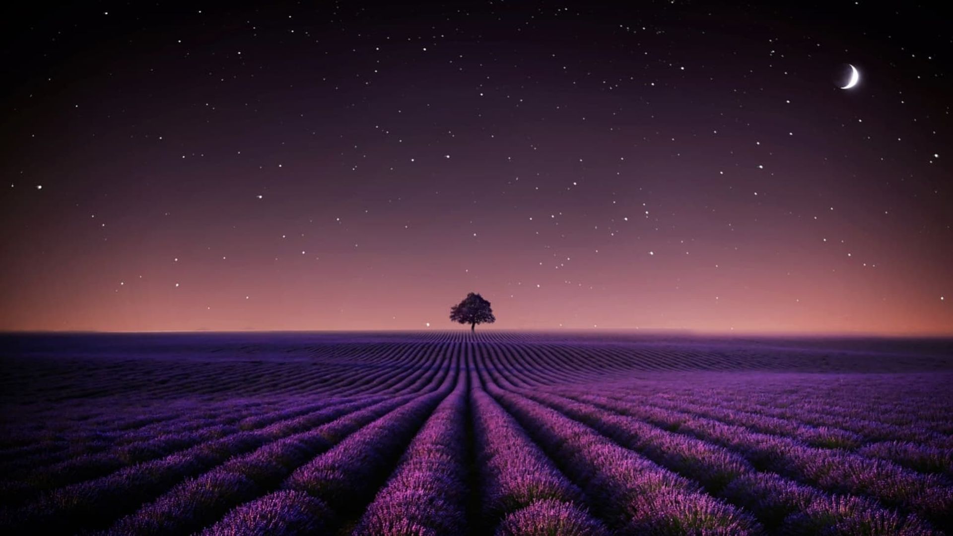 Adieu Aurora background