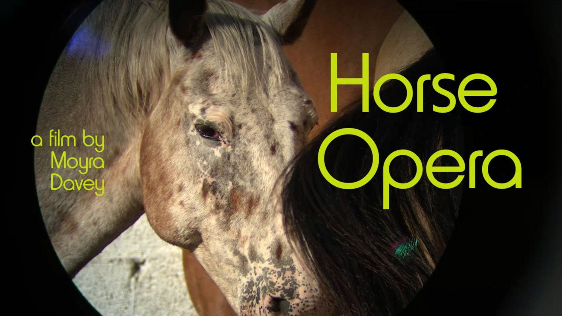 Horse Opera background