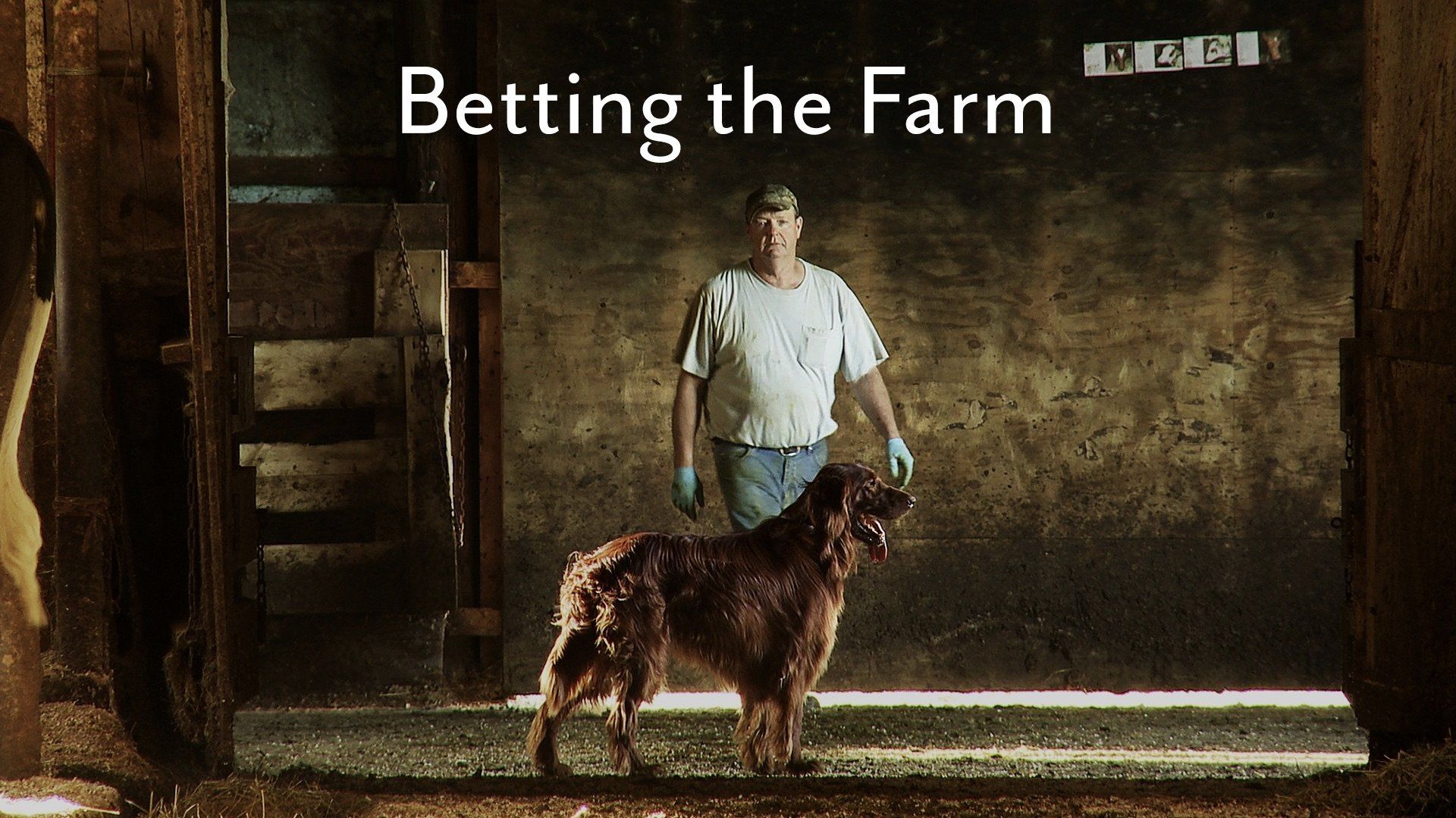 Betting the Farm background