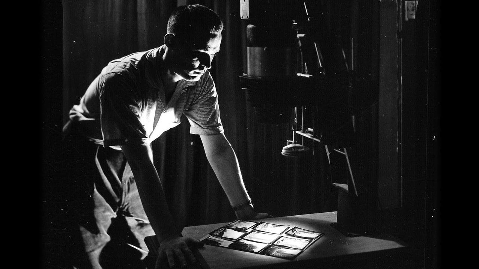 In Search of Avery Willard background