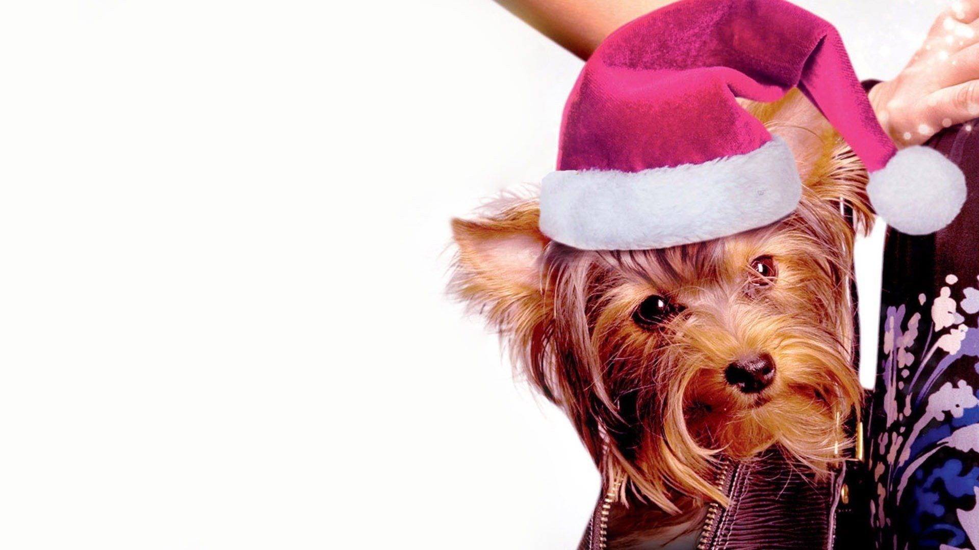 Monster & Me background