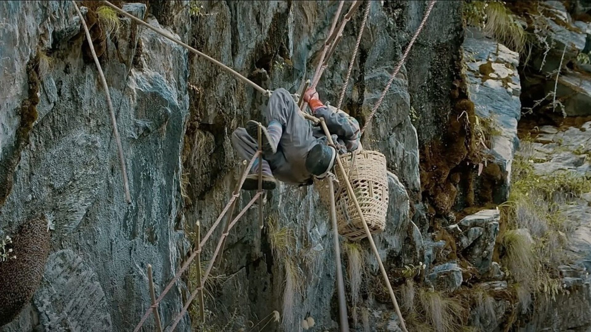 The Tiger's Jaw background