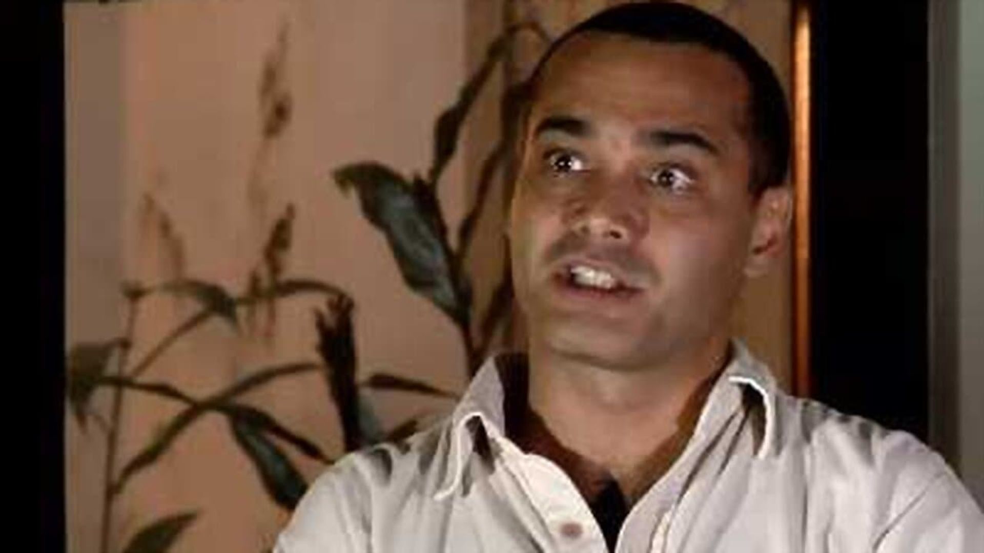 Cortina de Fumaça background