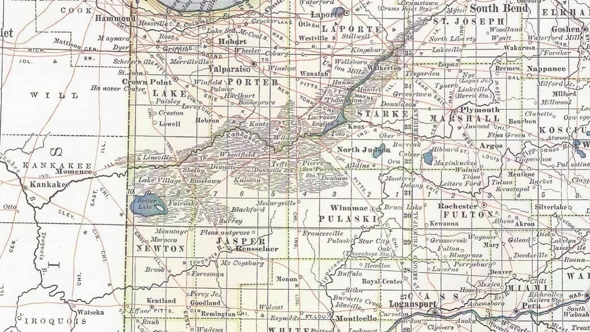 Everglades of the North background