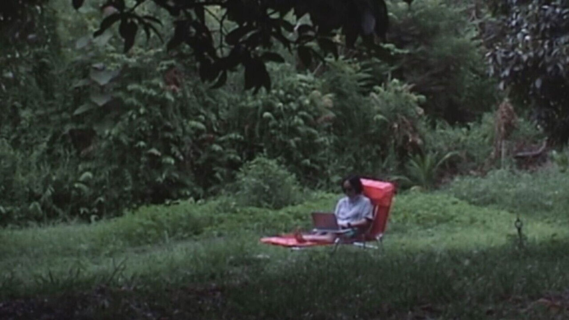 Mangosteen background