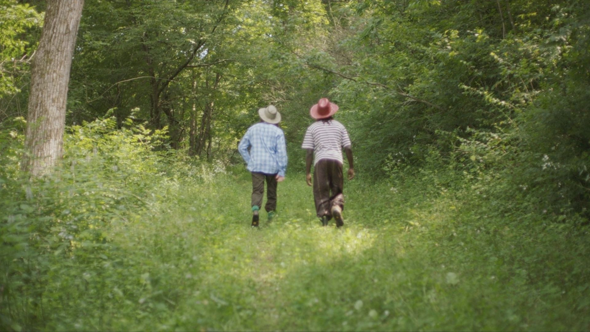 Boys at Twenty background