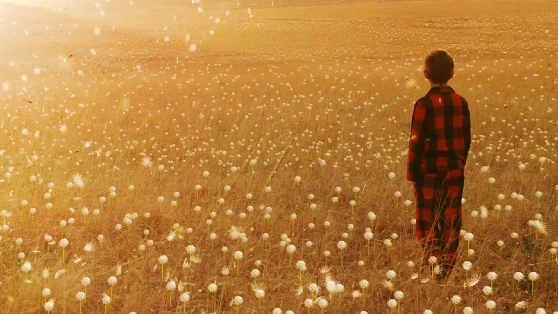 Wisher Maddox background