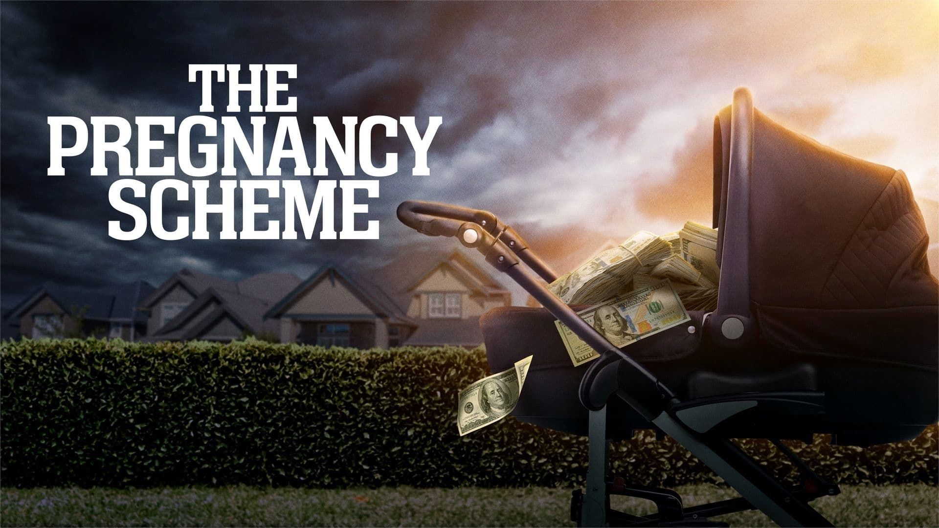 The Pregnancy Scheme background