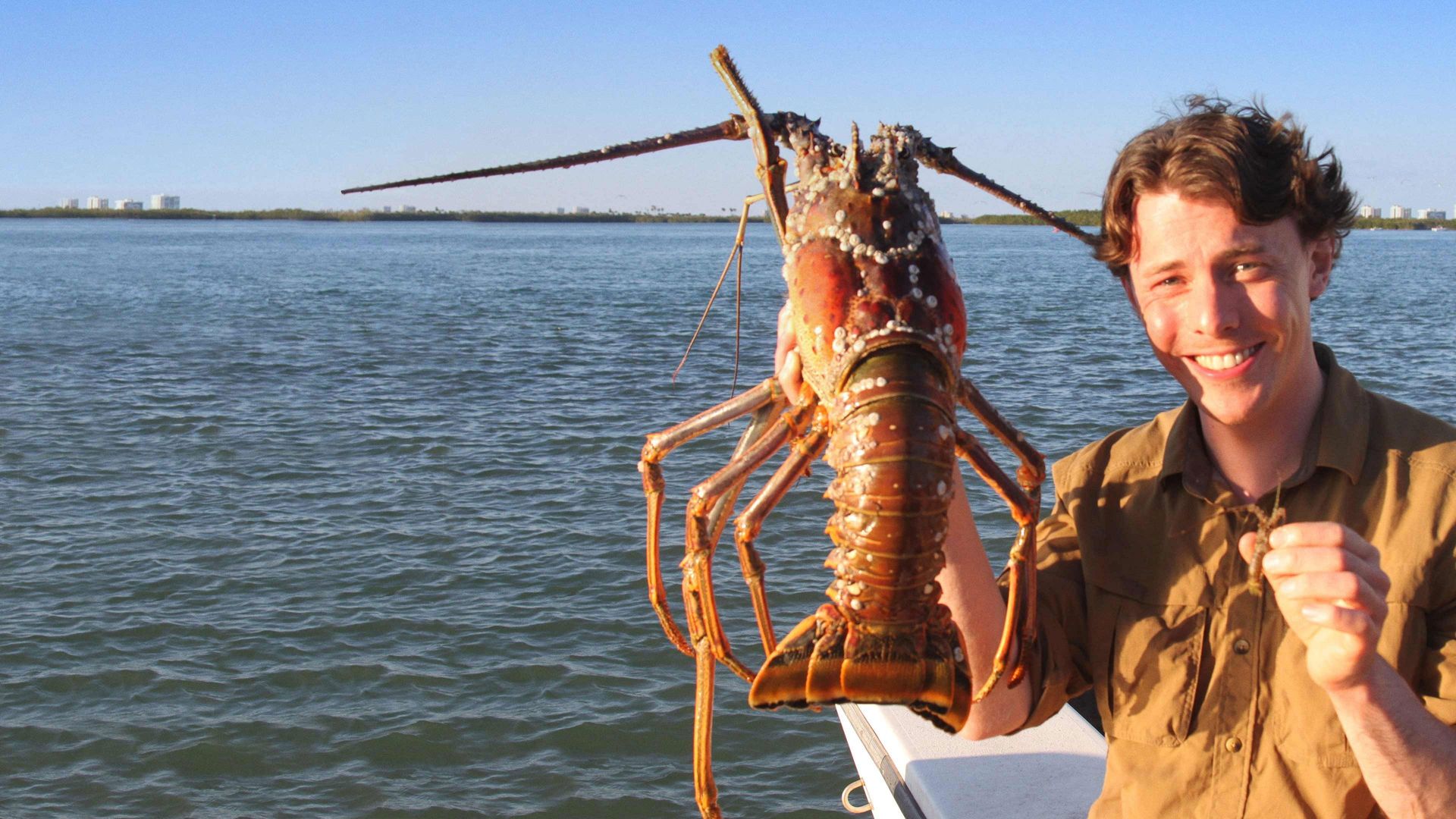 Creatures of the Lagoon background