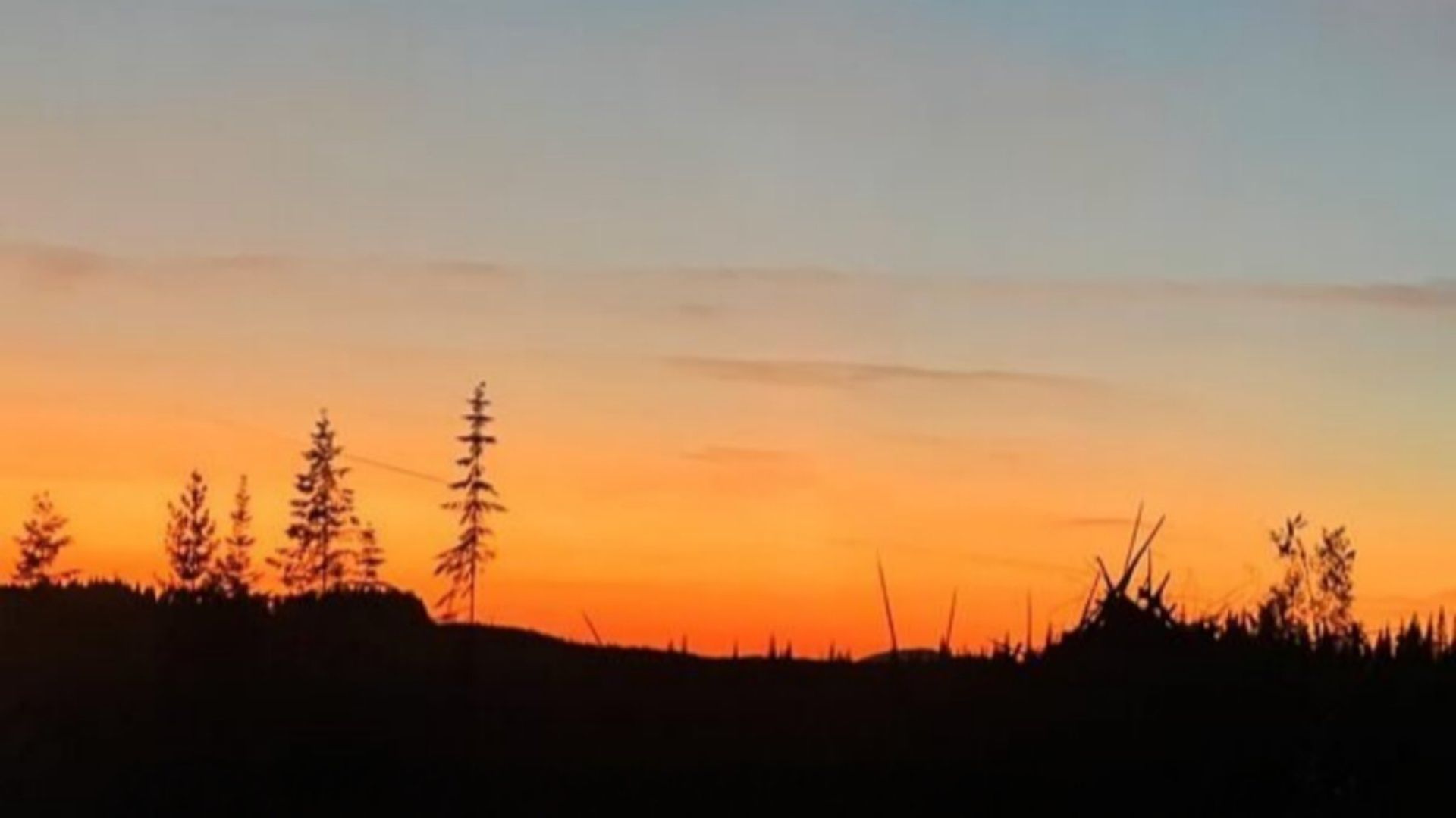 Idaho Fallen background