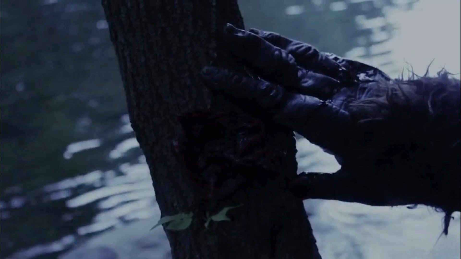 Black Water Creek background