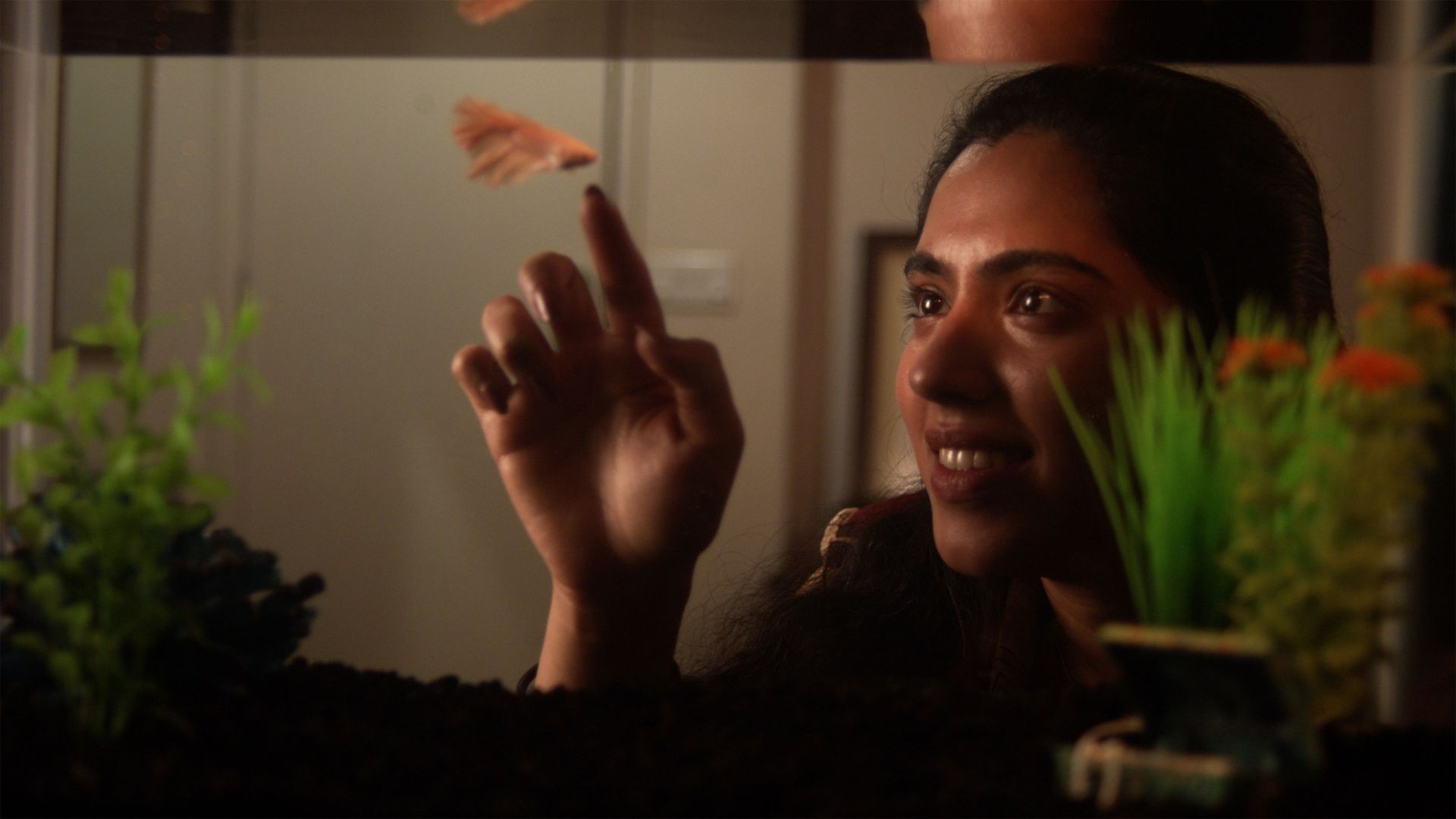 Mr. Bubbles background