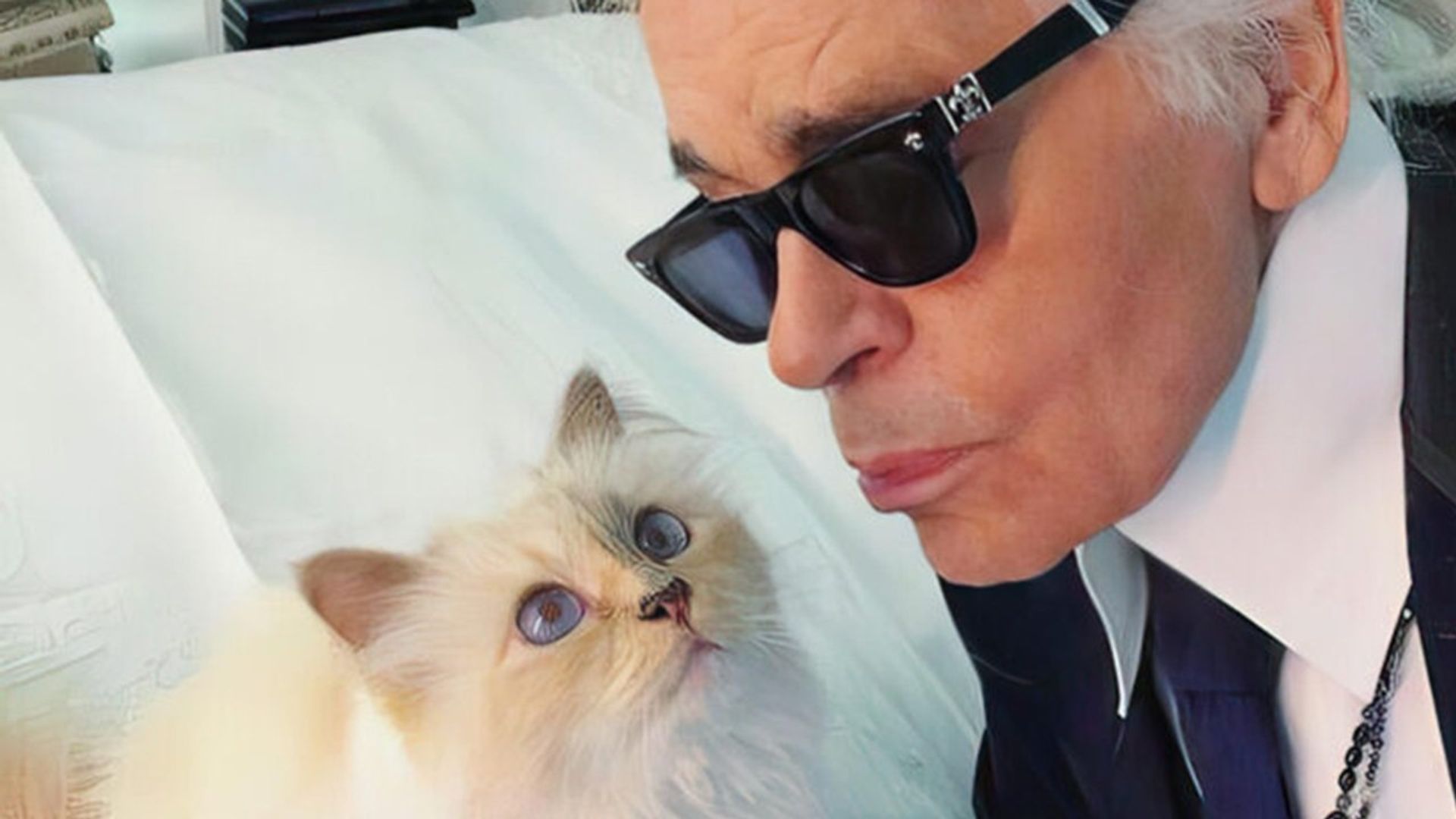 The Mysterious Mr. Lagerfeld background