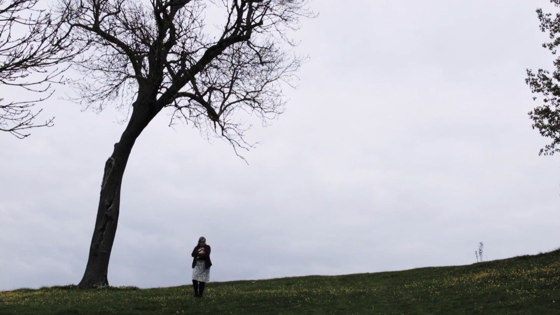 The Crying background