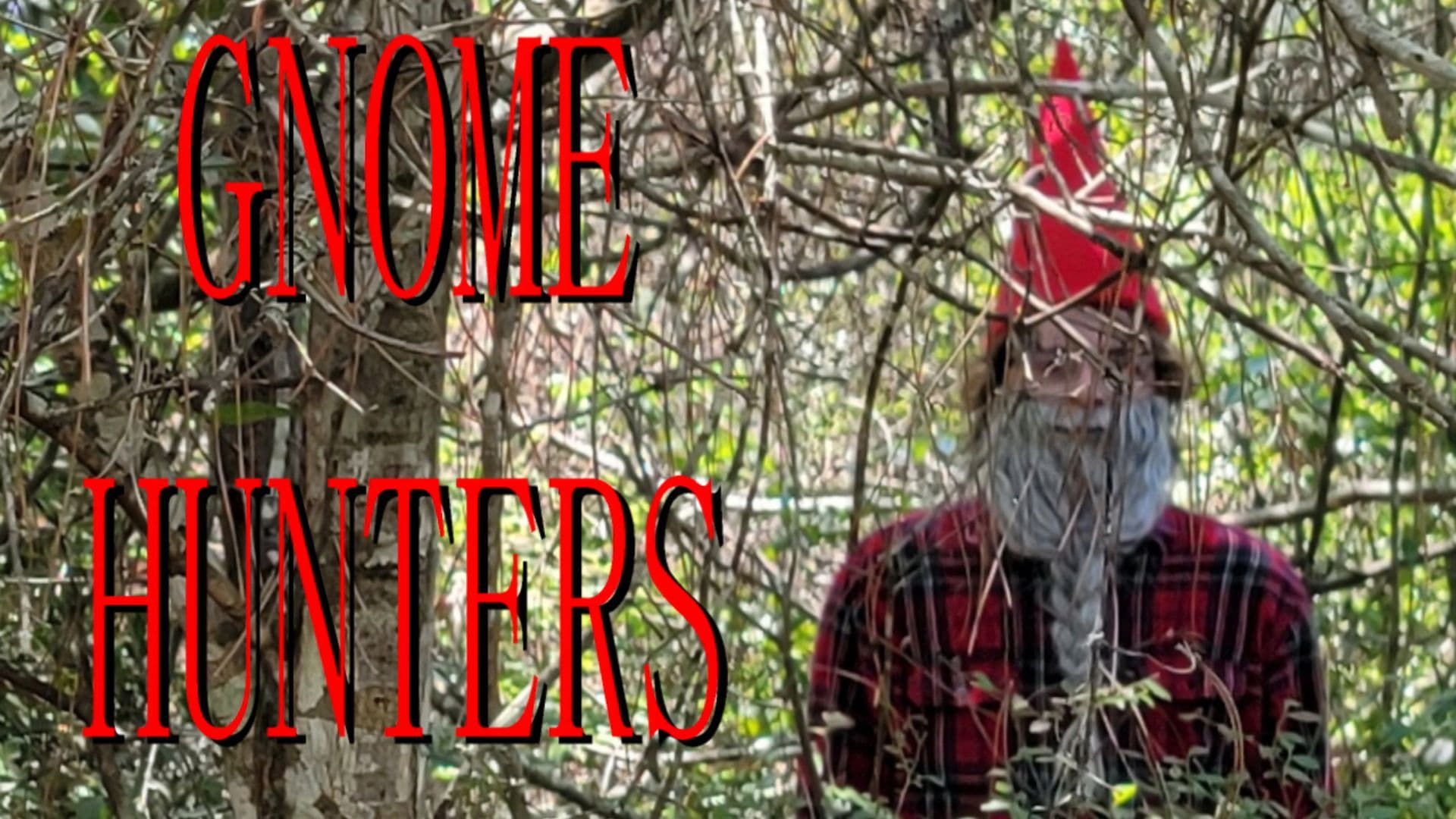 Gnome Hunters background